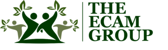 theecamgroup.com